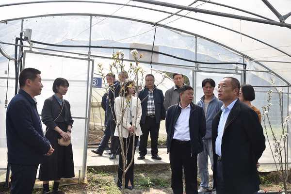 说明: https://www.abtu.edu.cn/__local/7/C7/0A/DDC133175443A72991BFA7DD5F8_AEAD5577_3A79F.jpg